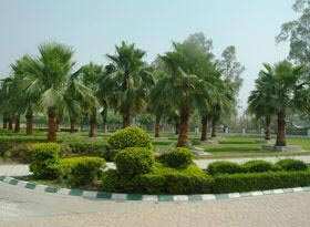 Residential Plot 214 Sq. Yards for Sale in Sector 18 Sonipat