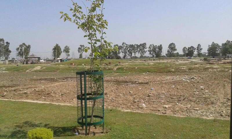 Residential Plot 160 Sq. Yards for Sale in Sector 35 Sonipat