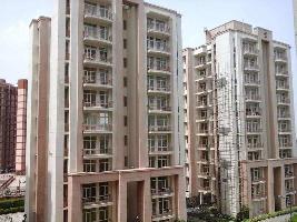 3 BHK Flat for Sale in Sector 10 Sonipat