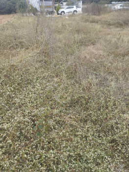  Residential Plot for Sale in Indira Nagar, Bangalore