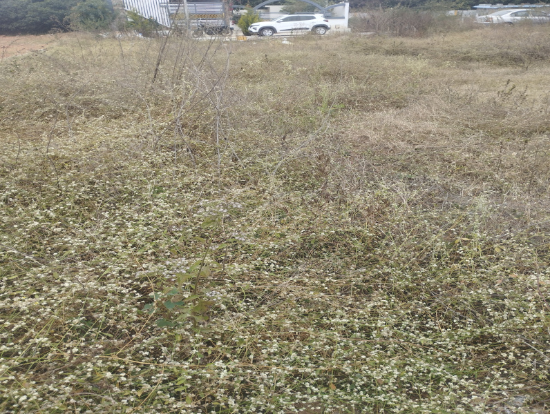  5400 Sq.ft. Residential Plot for Sale in Indira Nagar, Bangalore