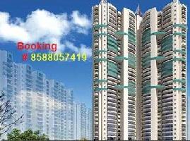 3 BHK Builder Floor for Sale in Sector 1 Greater Noida West
