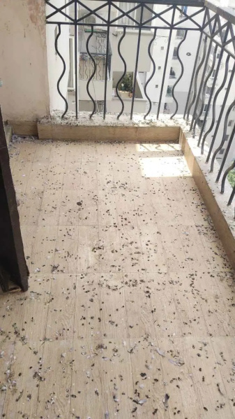 2 BHK 900 Sq.ft. Apartment for Sale in Nalasopara West, Mumbai