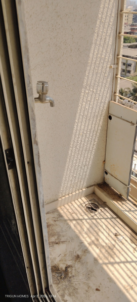 1 BHK 560 Sq.ft. Apartment for Rent in Nalasopara West, Mumbai