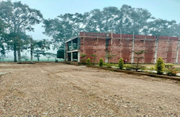  Residential Plot for Sale in Rama Mandi, Jalandhar