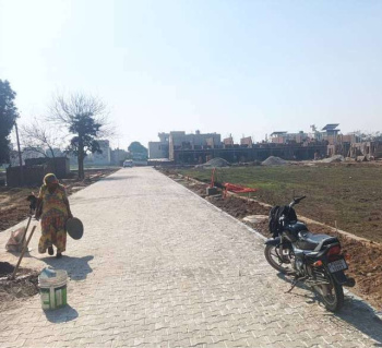 3 BHK House for Sale in Rama Mandi, Jalandhar