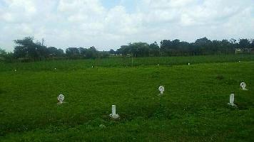  Residential Plot for Sale in Ozar, Nashik