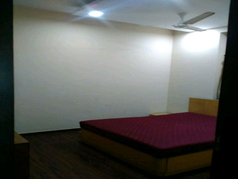 1 BHK Apartment 524 Sq.ft. for Rent in Camp, Pune