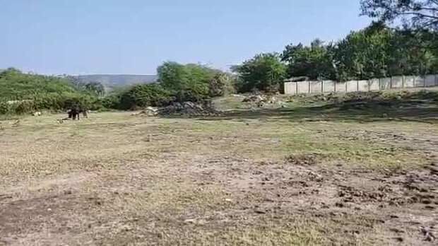  Commercial Land 5 Bigha for Sale in Debari, Udaipur