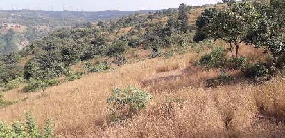  Agricultural Land for Sale in Amberi, Udaipur