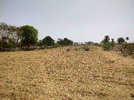  Agricultural Land for Sale in Chandesara, Udaipur