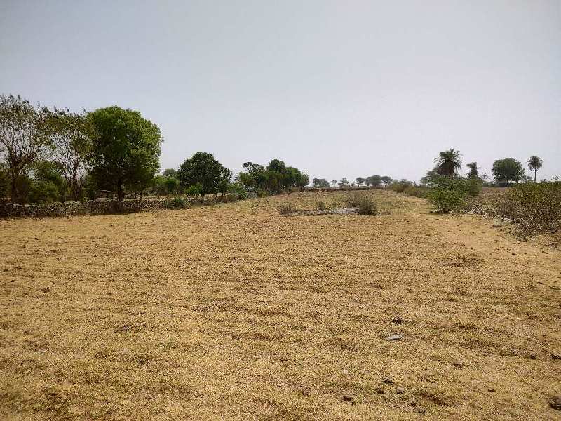 Agricultural Land 8 Bigha for Sale in Chandesara, Udaipur