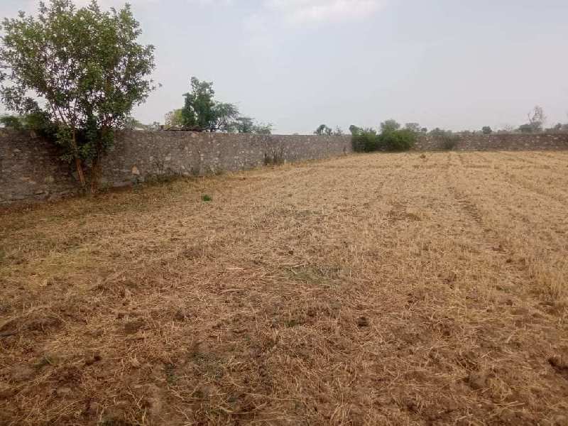 Agricultural Land 22 Bigha for Sale in Chandesara, Udaipur