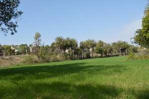  Agricultural Land for Sale in Chandesara, Udaipur