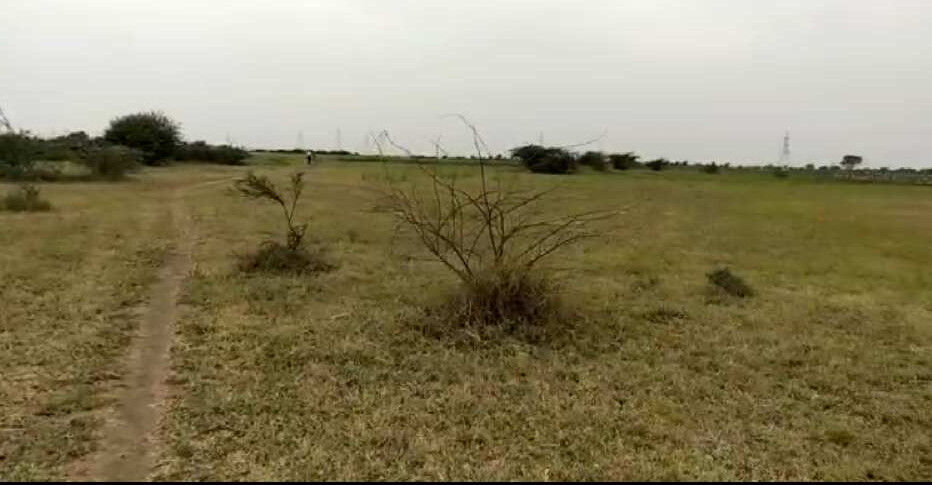  Agricultural Land 130 Bigha for Sale in Bavla, Ahmedabad