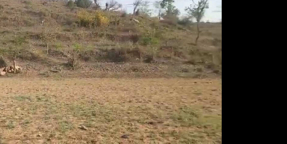  Agricultural Land 5 Bigha for Sale in Girwa, Udaipur