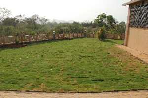  Agricultural Land for Sale in Bhuwana, Udaipur