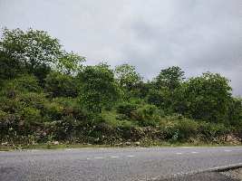 Agricultural Land for Sale in Nathdwara Road, Udaipur