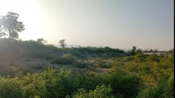  Residential Plot for Sale in Dabok, Udaipur