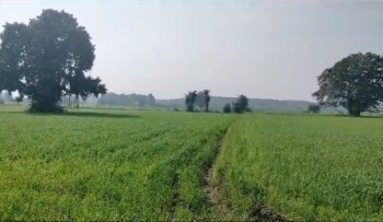  Agricultural Land for Sale in Lodha, Banswara