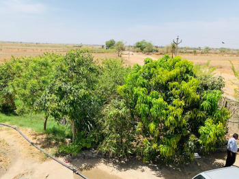  Agricultural Land for Sale in Bhatewar, Udaipur