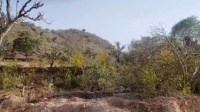  Residential Plot for Sale in Nathdwara Road, Udaipur