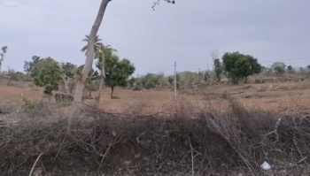  Agricultural Land for Sale in Kanor, Udaipur