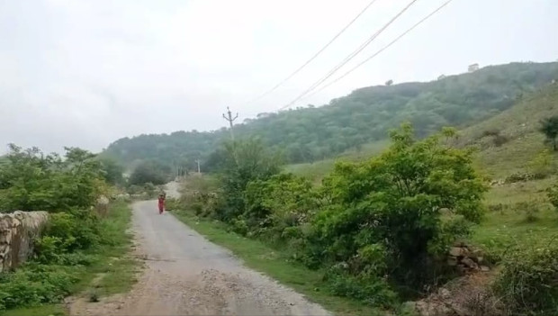  Agricultural Land 35 Bigha for Sale in Gogunda, Udaipur