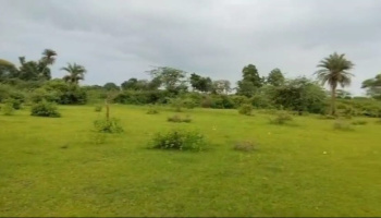  Agricultural Land for Sale in Pulla, Udaipur