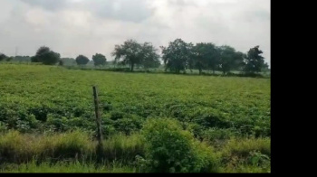  Agricultural Land for Sale in Bhatewar, Udaipur