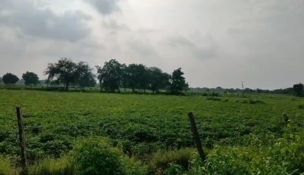  Agricultural Land 2 Bigha for Sale in Bhatewar, Udaipur