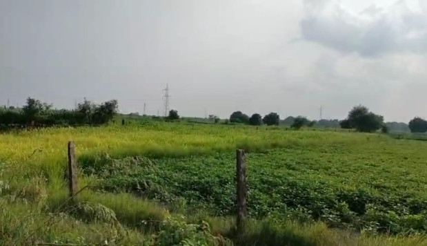  Agricultural Land 2 Bigha for Sale in Bhatewar, Udaipur