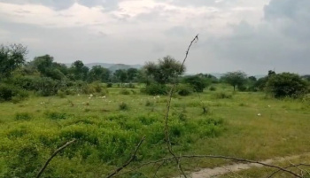  Agricultural Land for Sale in RIICO Industrial Area Kaladwas, Udaipur