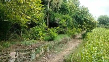  Agricultural Land for Sale in Balicha, Udaipur