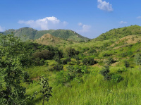  Agricultural Land for Sale in Iswal, Udaipur