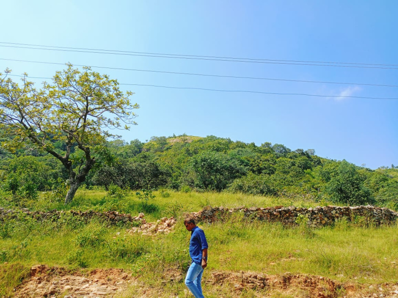  Agricultural Land 14 Bigha for Sale in Gogunda, Udaipur