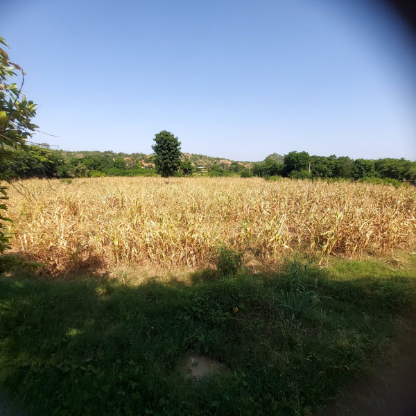  Agricultural Land 18 Bigha for Sale in Debari, Udaipur