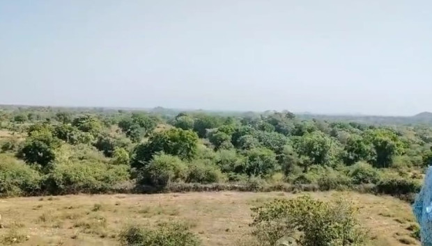  Agricultural Land 7 Bigha for Sale in Girwa, Udaipur