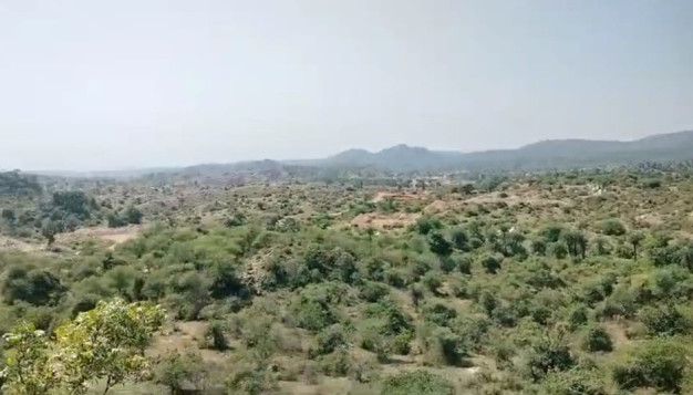  Agricultural Land 7 Bigha for Sale in Girwa, Udaipur