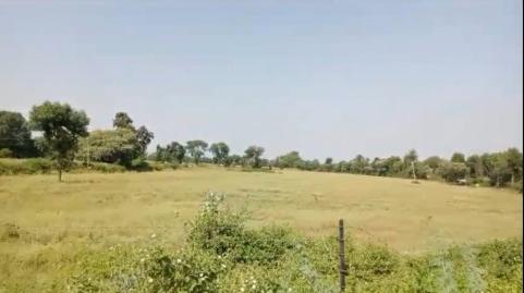  Agricultural Land 9 Bigha for Sale in Bhadesar, Chittorgarh