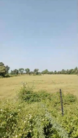  Agricultural Land 9 Bigha for Sale in Bhadesar, Chittorgarh