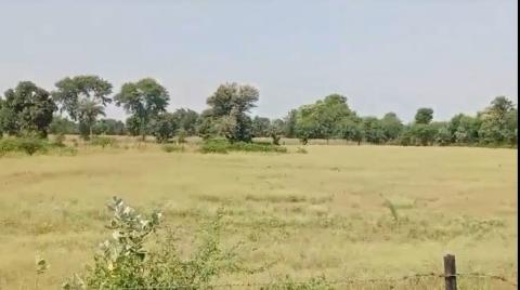  Agricultural Land 9 Bigha for Sale in Bhadesar, Chittorgarh