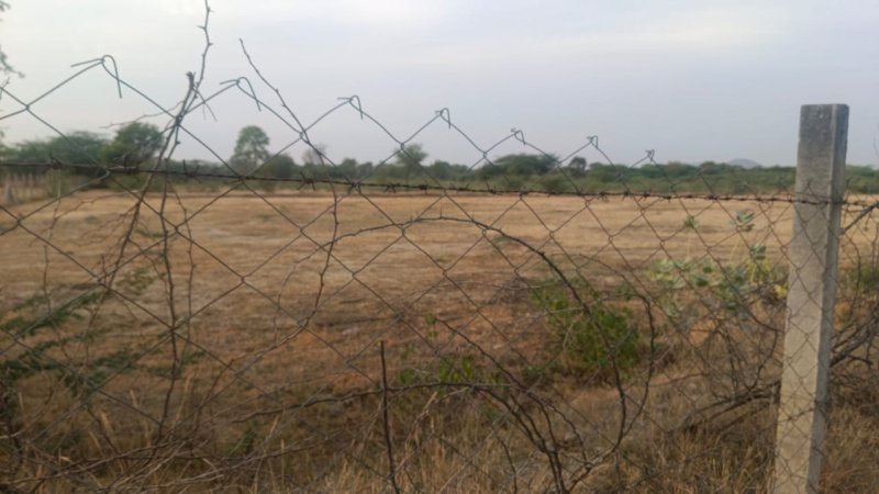  Agricultural Land 18 Bigha for Sale in Chandesara, Udaipur