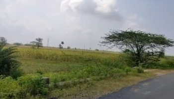  Agricultural Land for Sale in Bhatewar, Udaipur