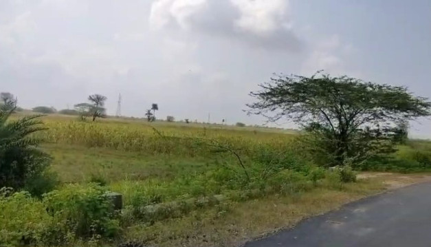  Agricultural Land 6 Bigha for Sale in Bhatewar, Udaipur