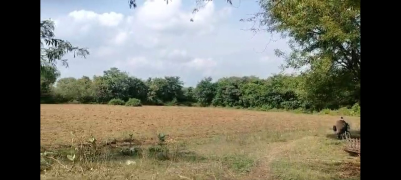  Agricultural Land 27 Bigha for Sale in Fatehnagar, Udaipur