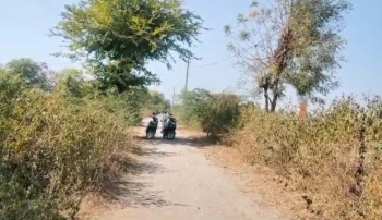  Agricultural Land for Sale in Mavli, Udaipur