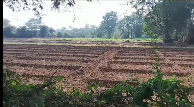  Agricultural Land 3 Bigha for Sale in Iswal, Udaipur