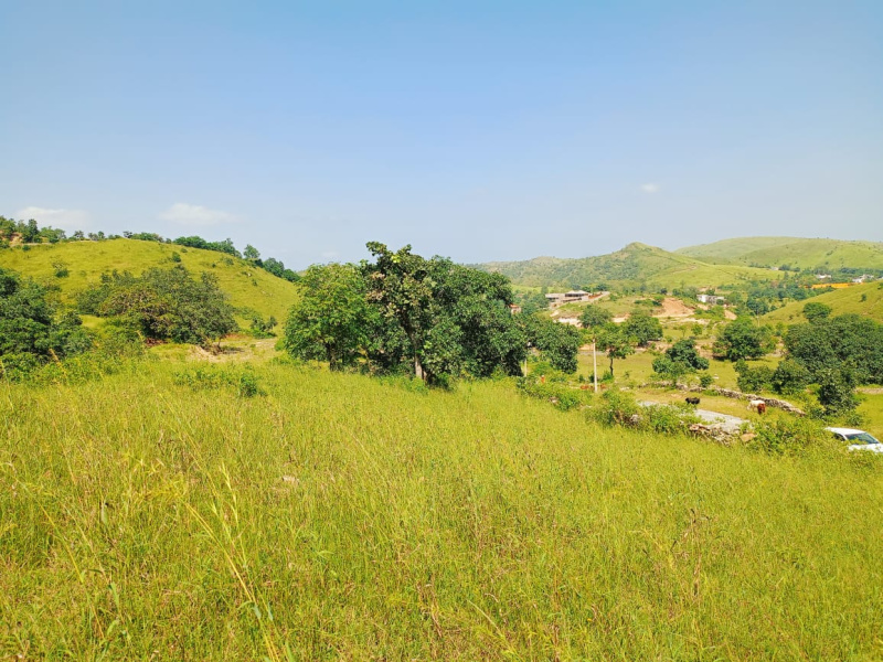  Agricultural Land 14 Bigha for Sale in Gogunda, Udaipur