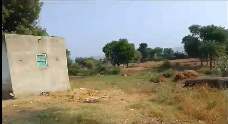  Agricultural Land 19 Bigha for Sale in Kumbhalgarh, Rajsamand